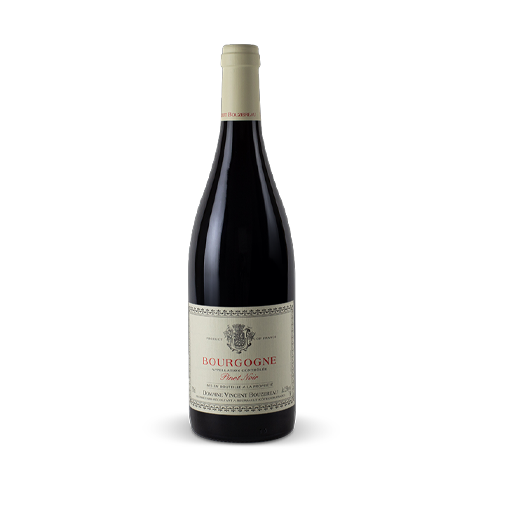 Bourgogne rouge "Côte d'Or" 2023