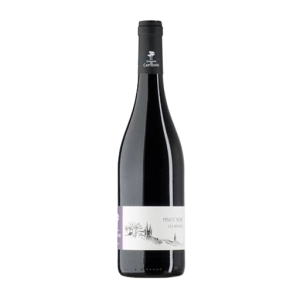 Pinot Noir "Les Mûriers" IGP 2023