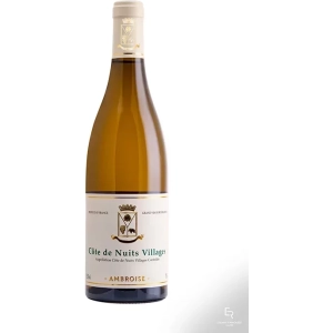 Côte de Nuits Villages Blanc 2023