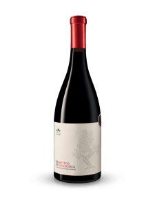 Primitivo di Manduria 2022